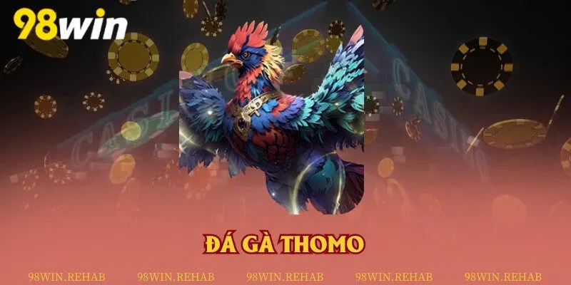 Đá gà Thomo